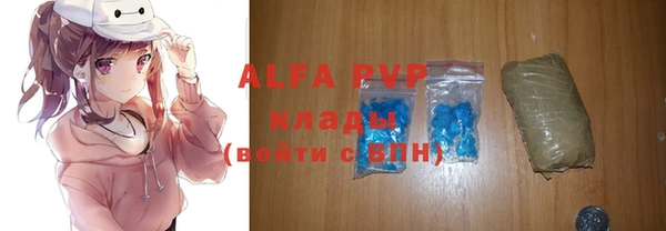 apvp Алзамай