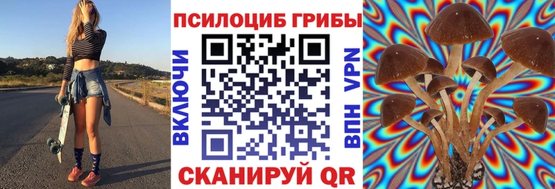 купить   Лахденпохья  Псилоцибиновые грибы GOLDEN TEACHER 